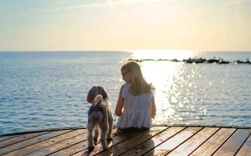 Hvidbjerg Strand Camping Resort Badebro Hund