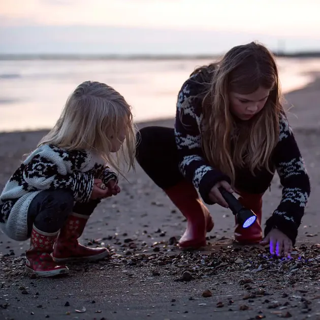 Hvidbjerg Strand Camping Resort Strand Rav