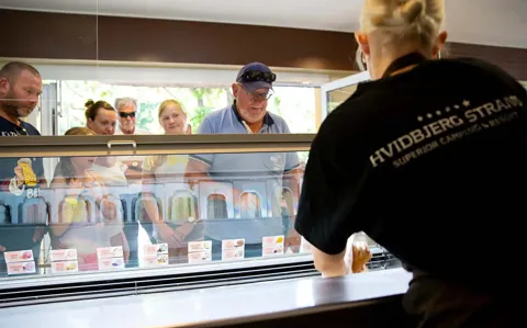 Hvidbjerg Strand Camping Resort Ishuset Koe